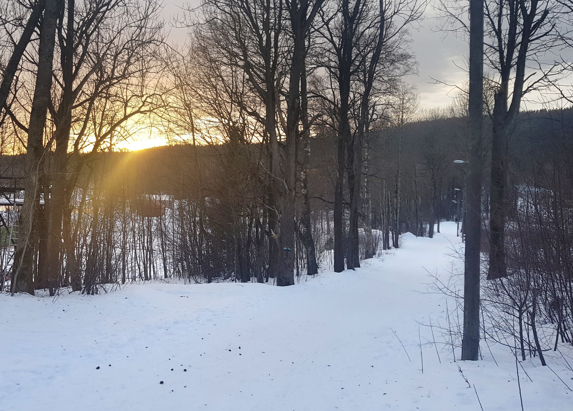 Starten på løypene 302, 303 og 1272