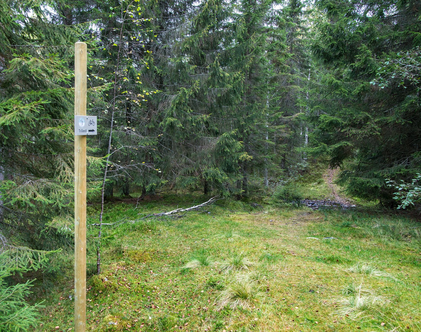 Starten på trillestien sør for Storøyungen