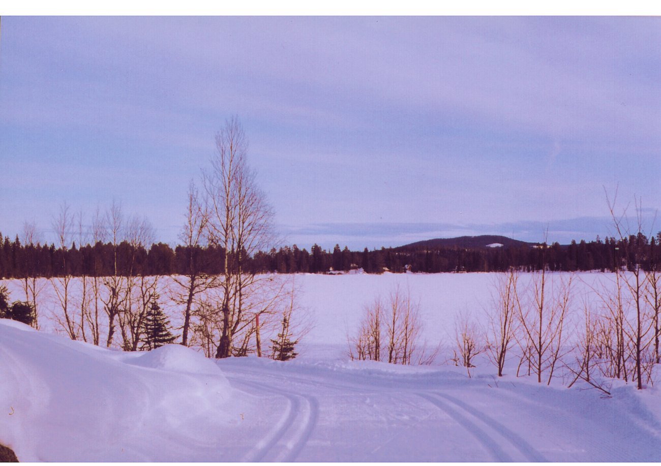 Steinsjøen ved Sagvolden