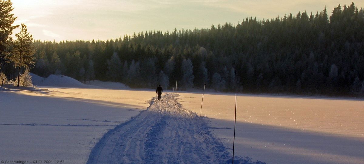 Stemning fra Rottungen