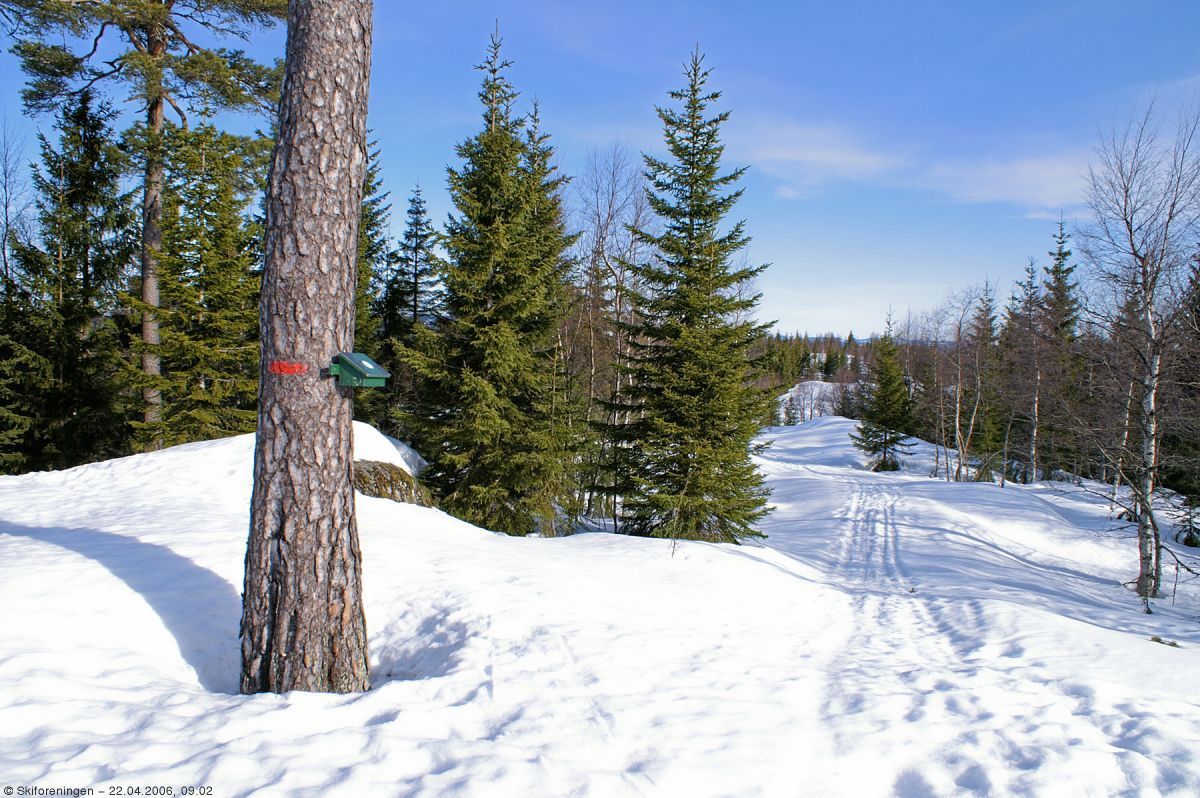 Stemplingsboksen på Daltjuvmana