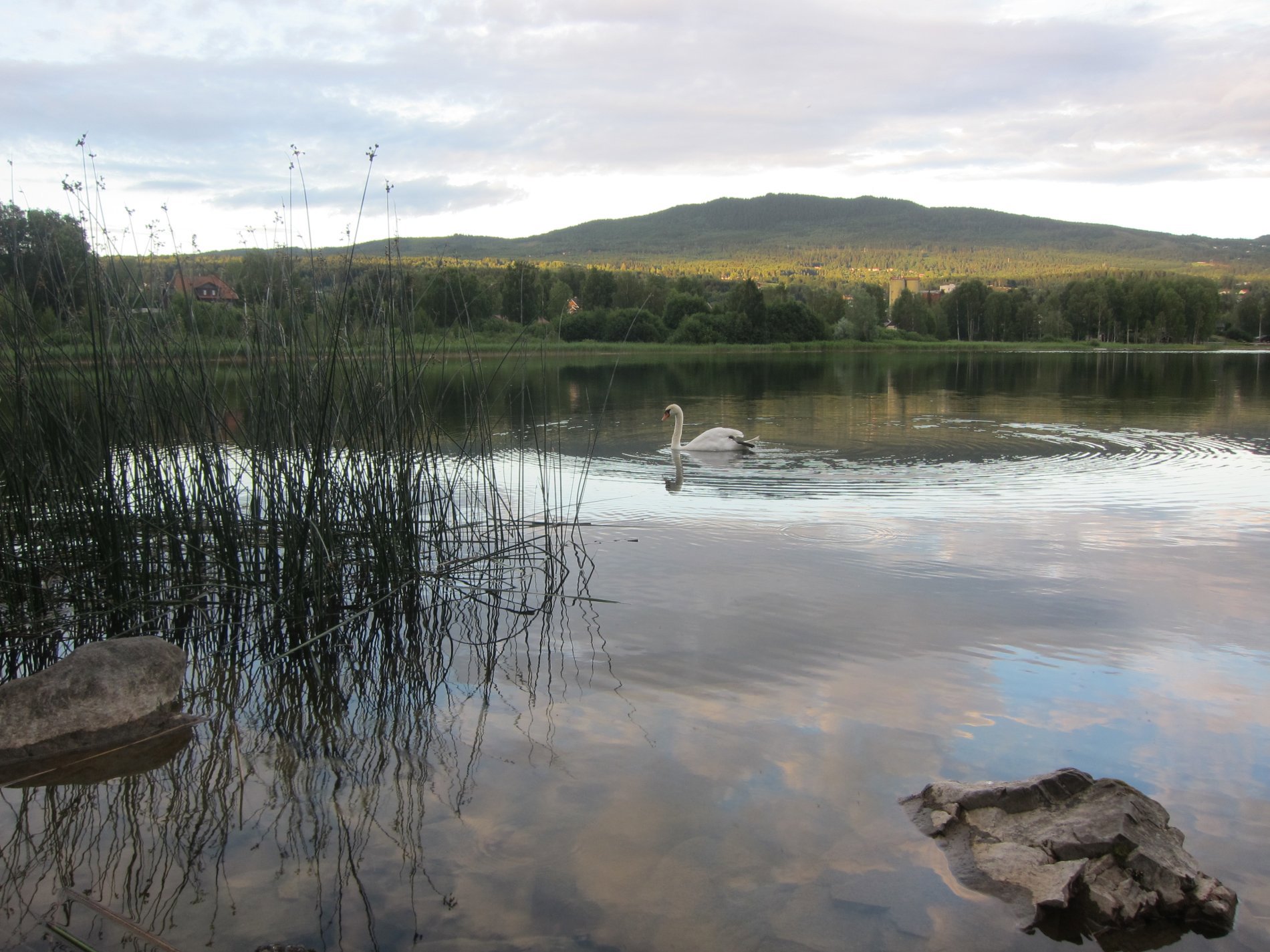 Stille ferd på Jarenvatnet