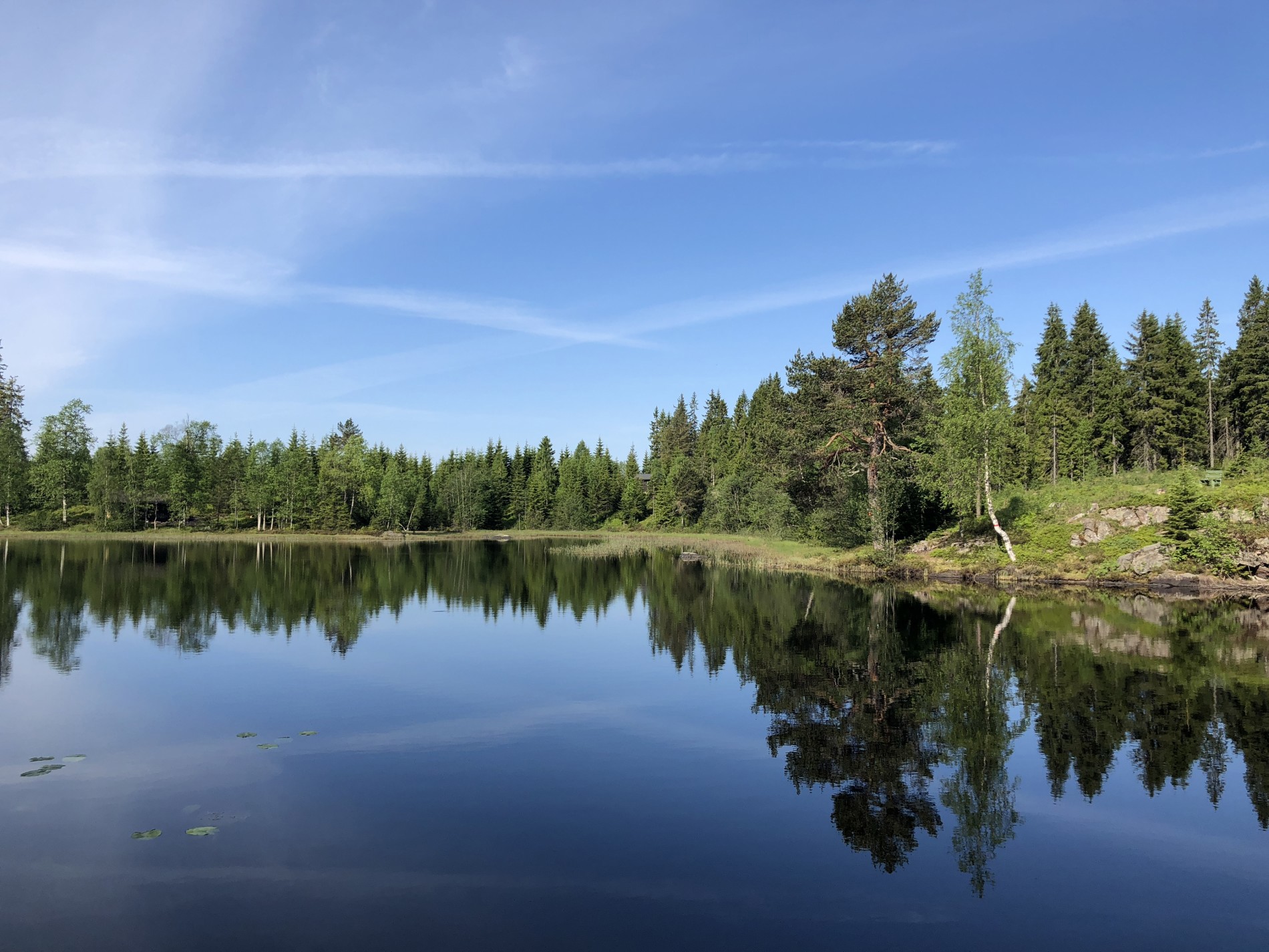 Stille og fint ved Retthelltjern