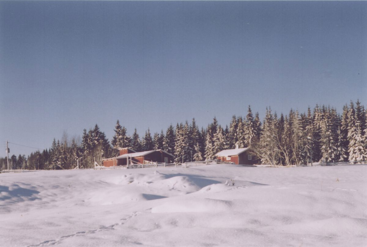 Stille på Fellessætra vinterstid