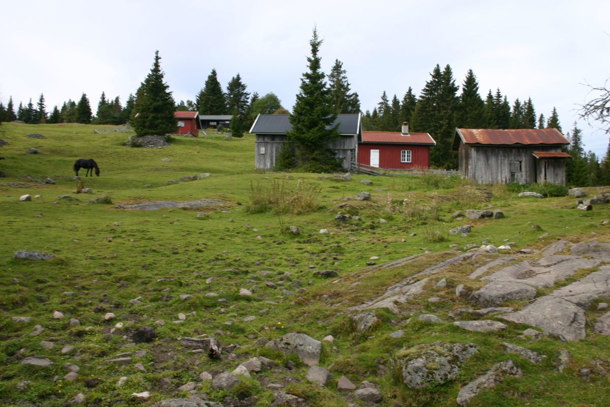 Stille søndag på Sørsetra