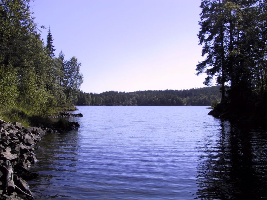 Stille vik i Breisjøen
