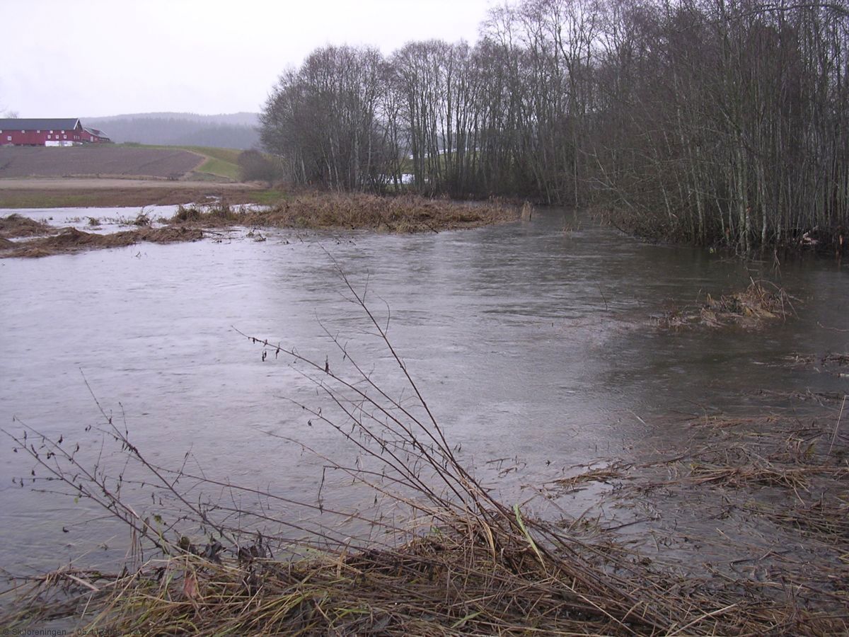 Stor Losbyelv ved Skårer