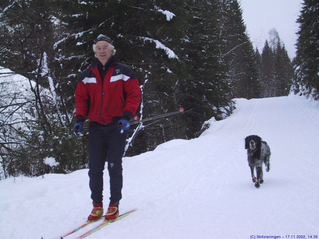 Stor trafikk i Gråseterveien