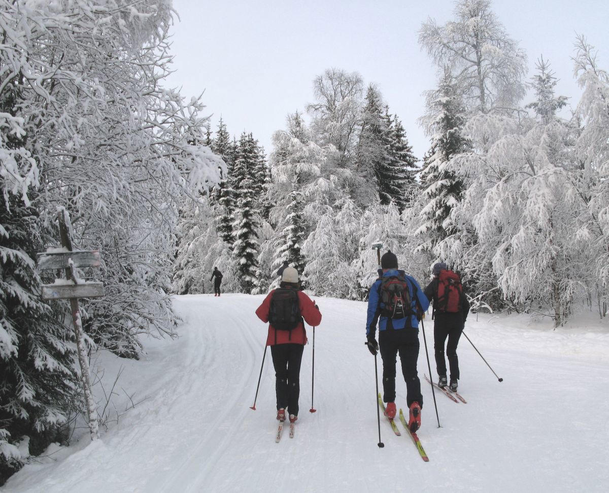 Stor trafikk på Abborvannsveien