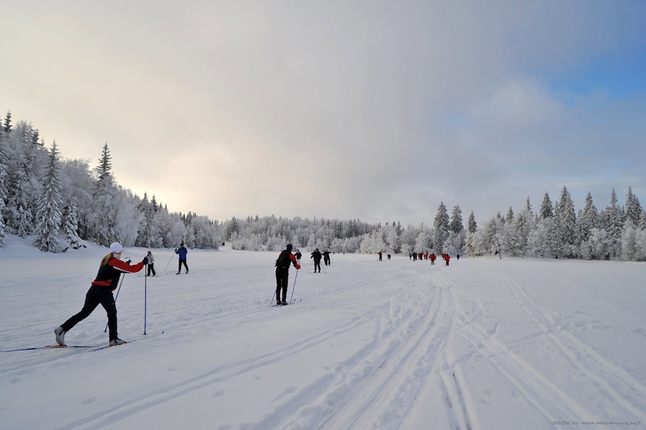 Stor trafikk på Tryvannstjernet