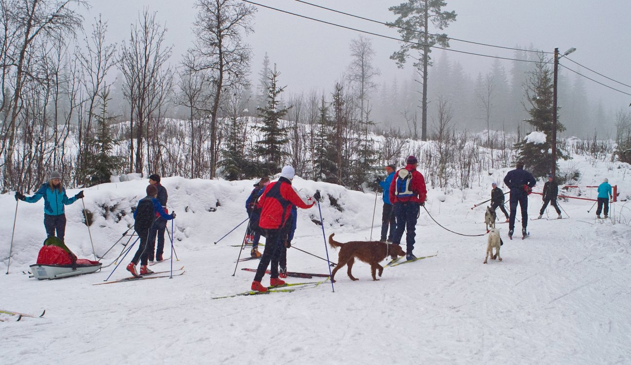 Stor utfart fra Høymyr i dag
