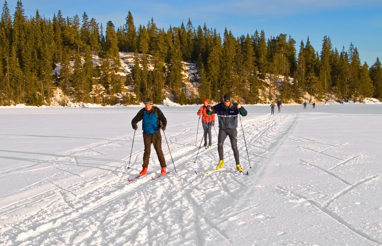 Stor utfart over Nibbitjern