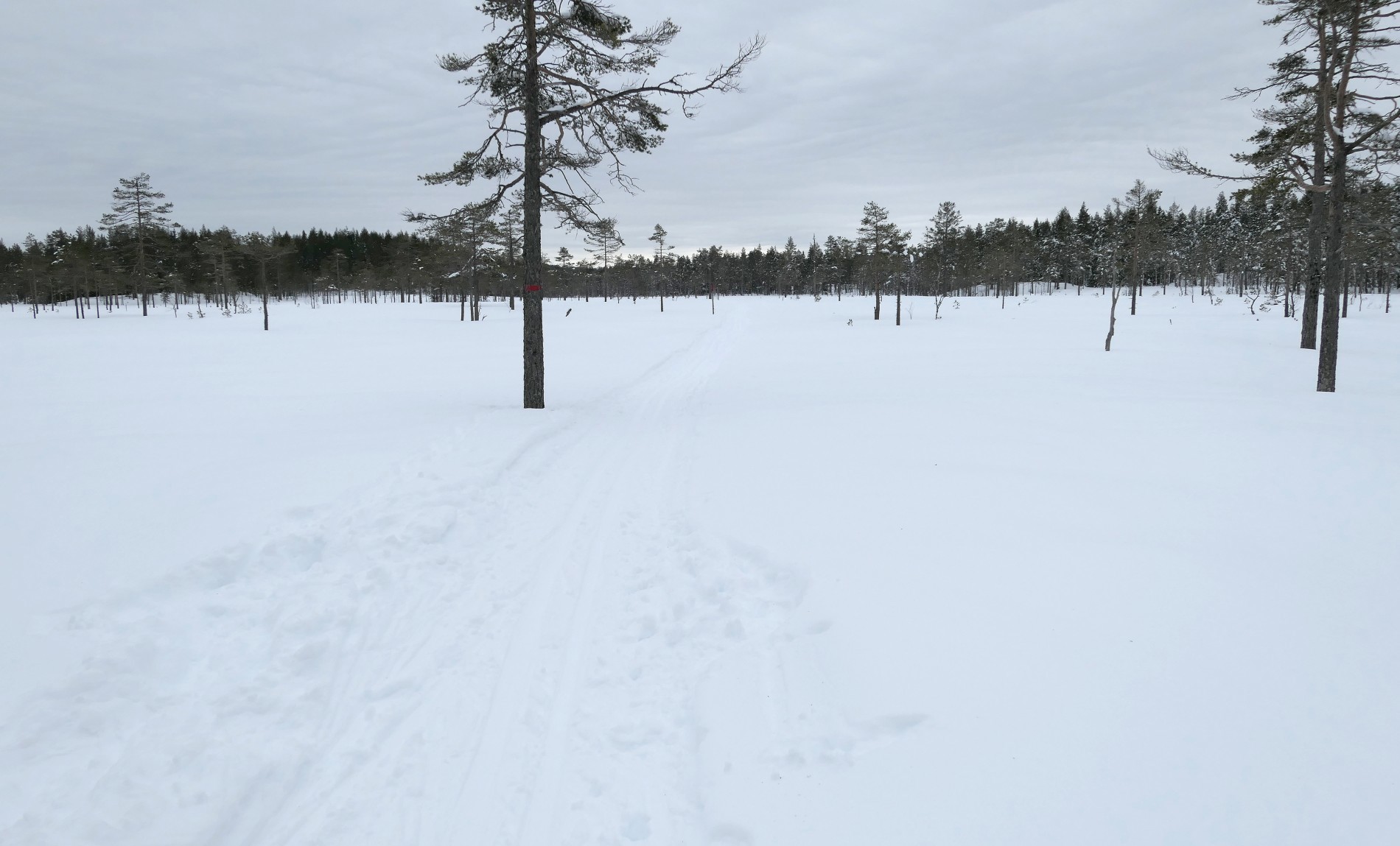 Stormyra like sør for Kroksund