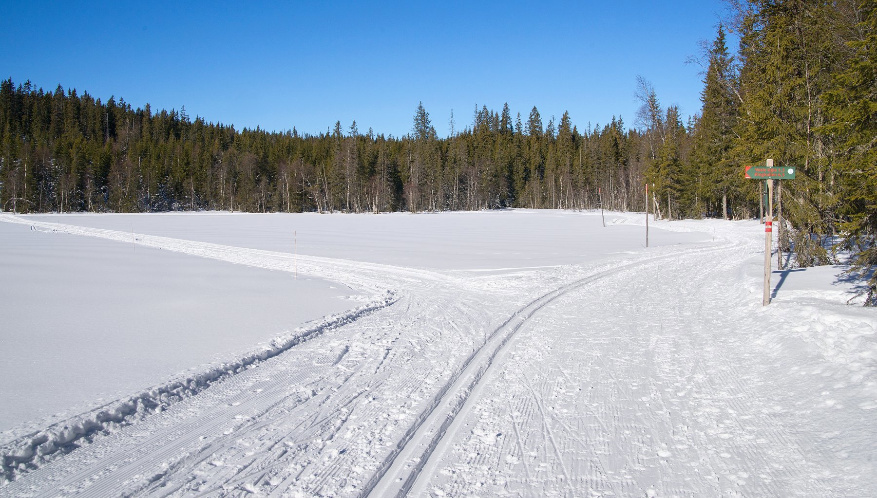 Strålende dag ved Auretjern