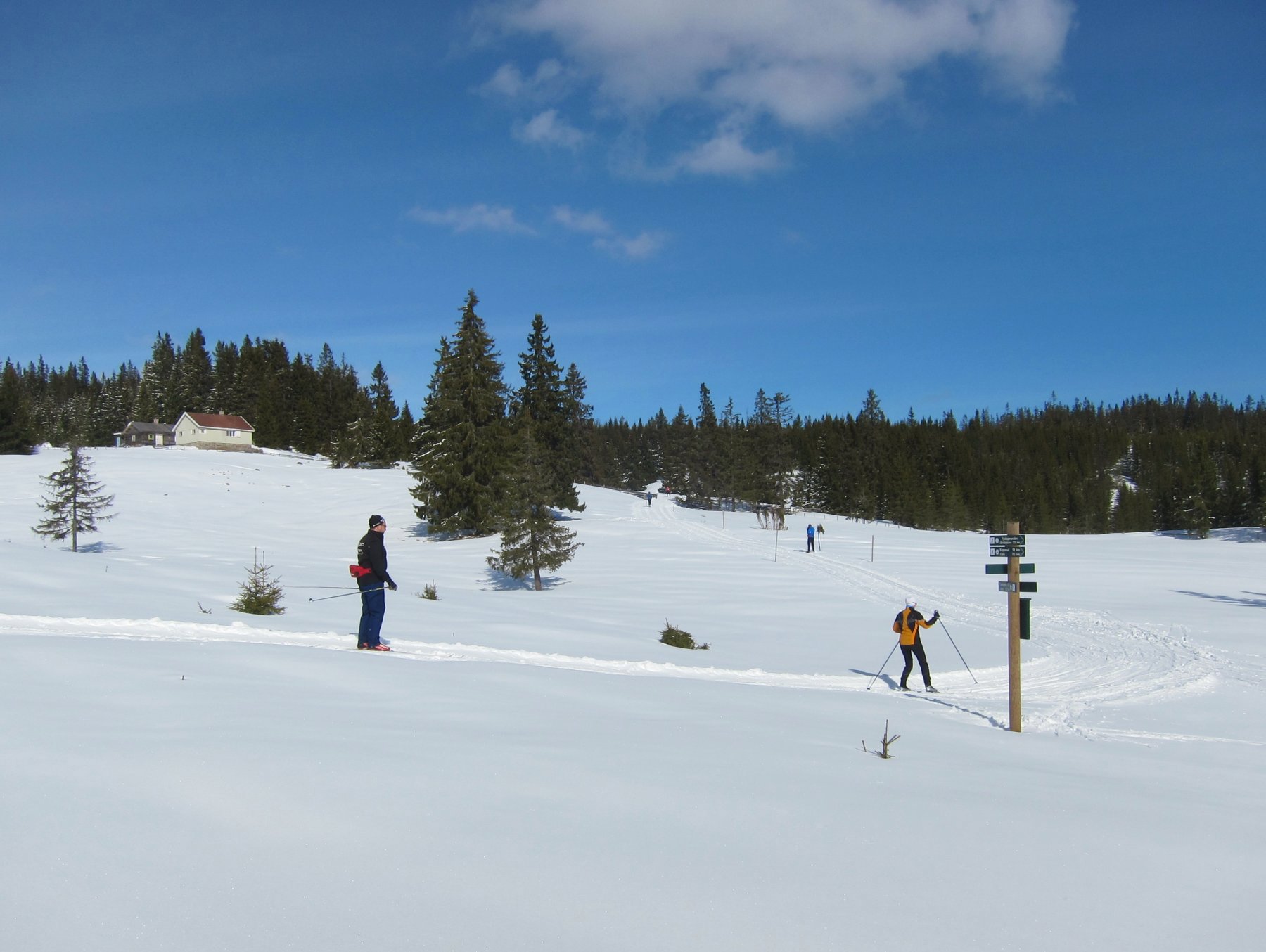Strålende dag ved Sverasætra