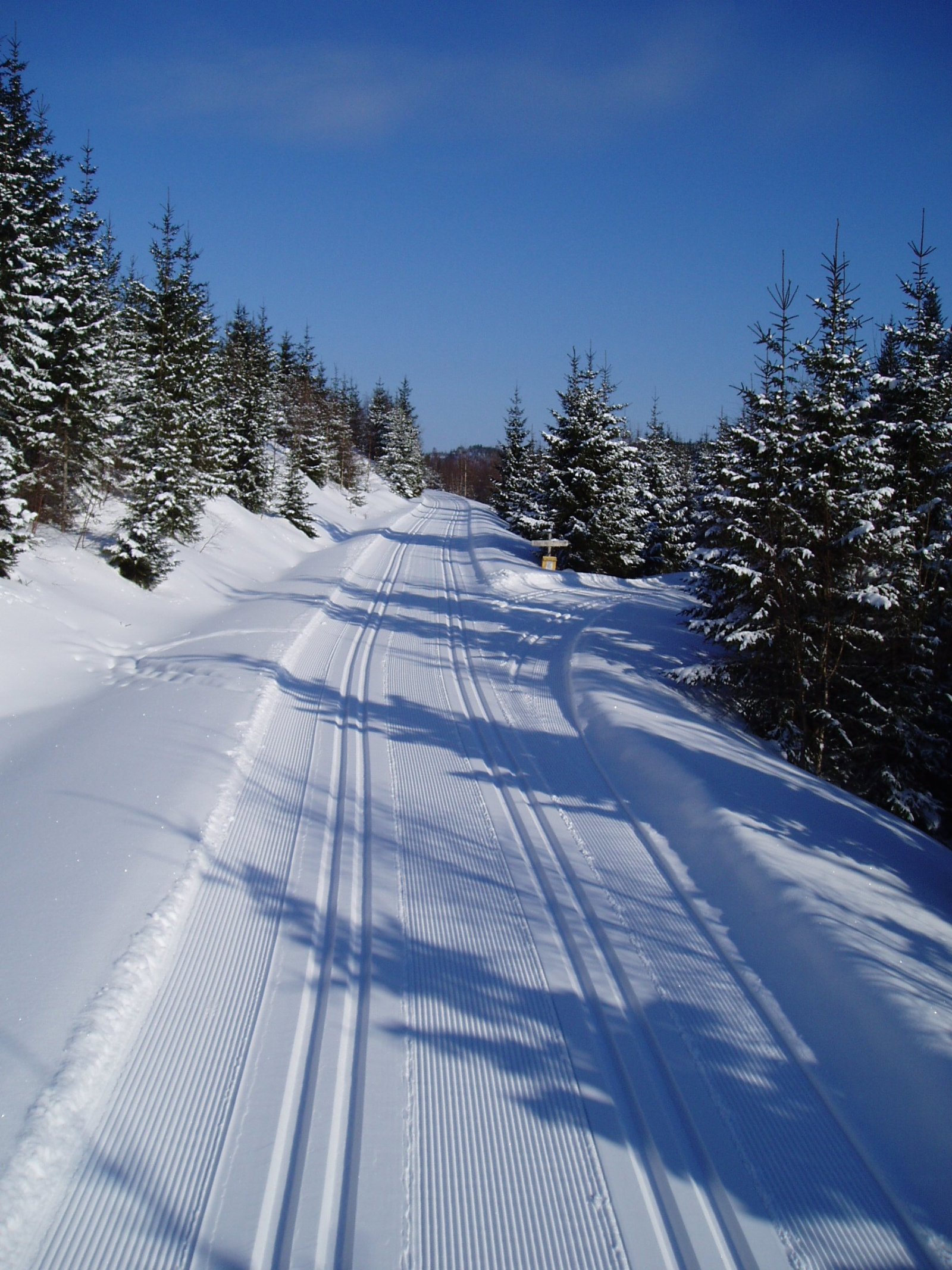 Strålende forhold ved Gullverket