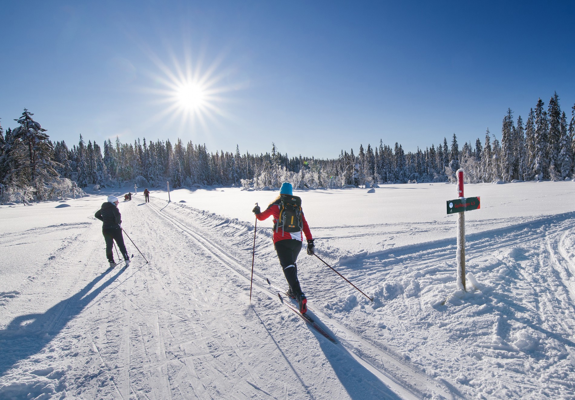 Strålende ved løypeskiltet mot Gyrihaugen