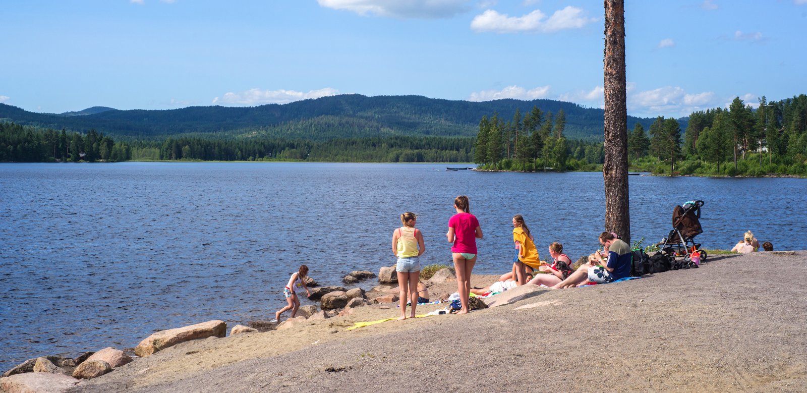 Strandliv ved Harestuvannet