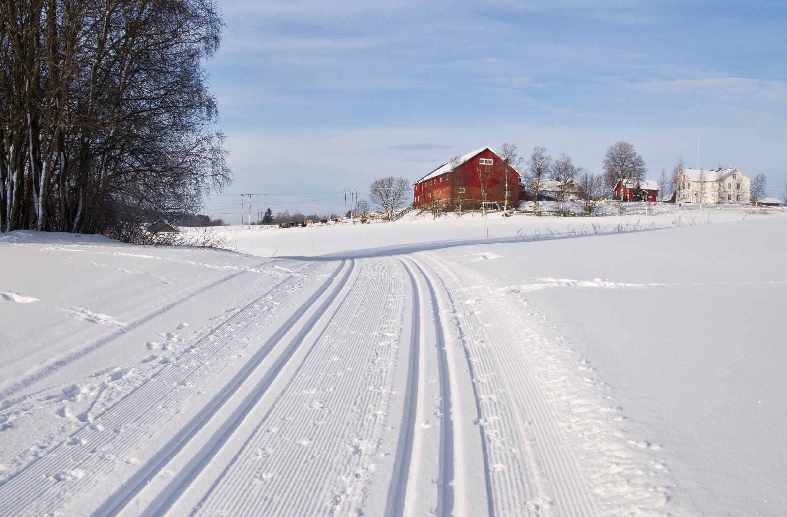 Strøkne spor ved Vestre Bjøralt