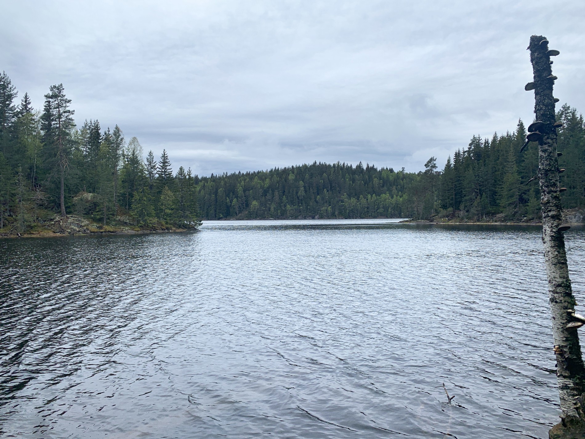 Sundet mellom Tangenøya og Petersbråtan