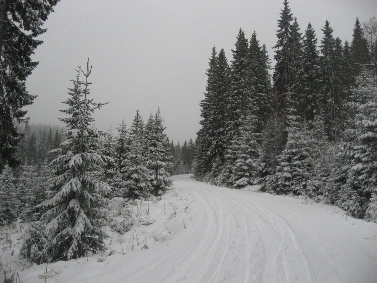 Supert oppover Gopletjernsbakkene