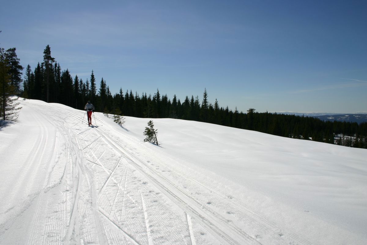 Supert på Kjølvegen