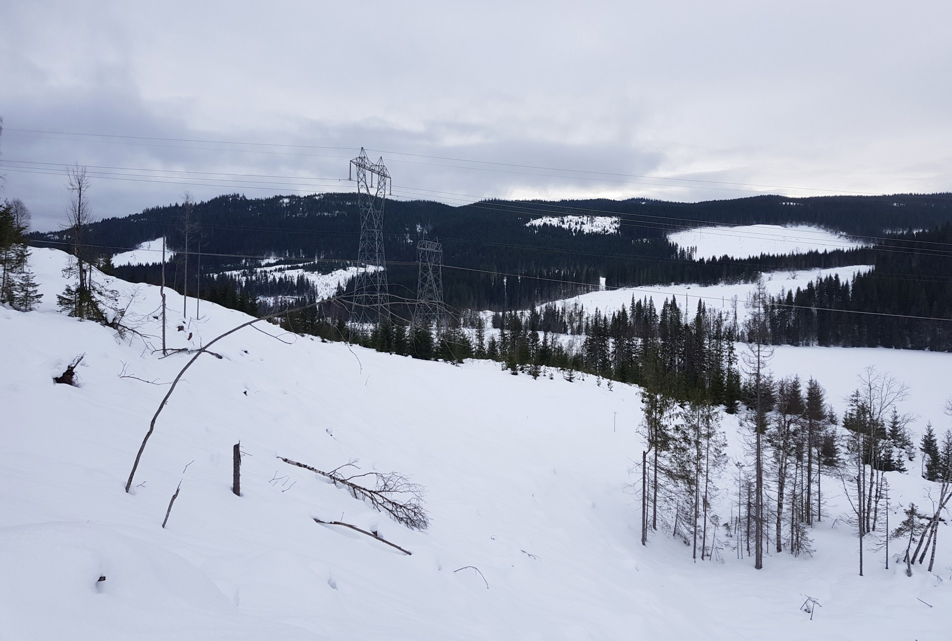 Svarten eller Butleren, hvem vet?