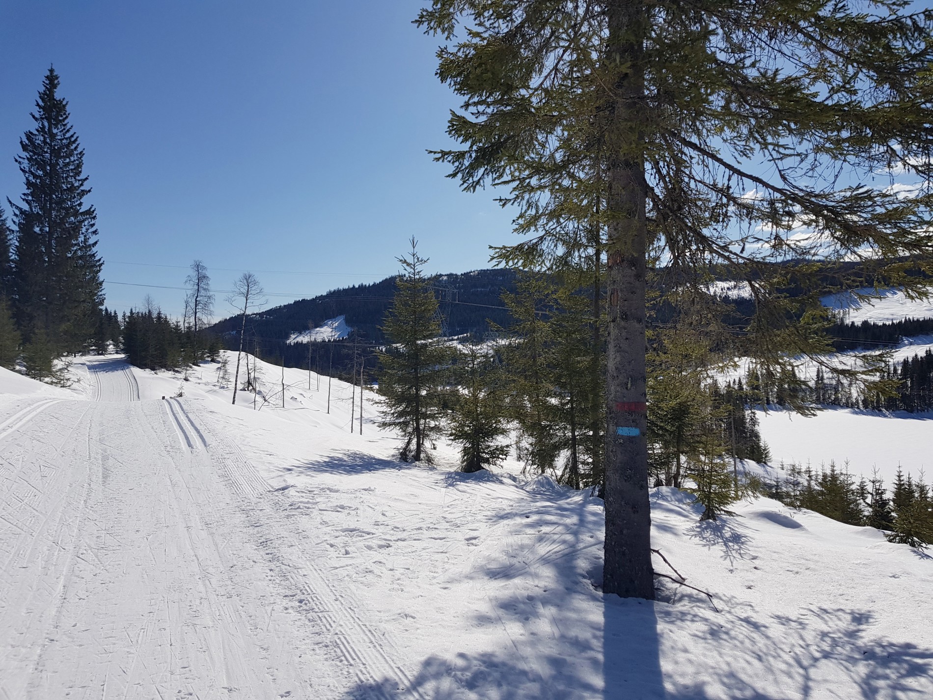Svarten med Oppkuven i bakgrunnen