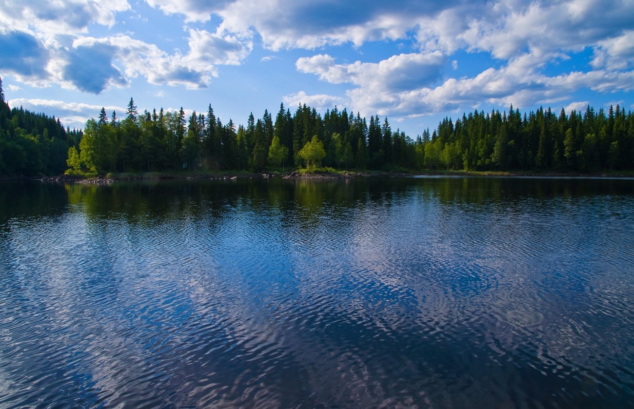 Svarten var blå i dag