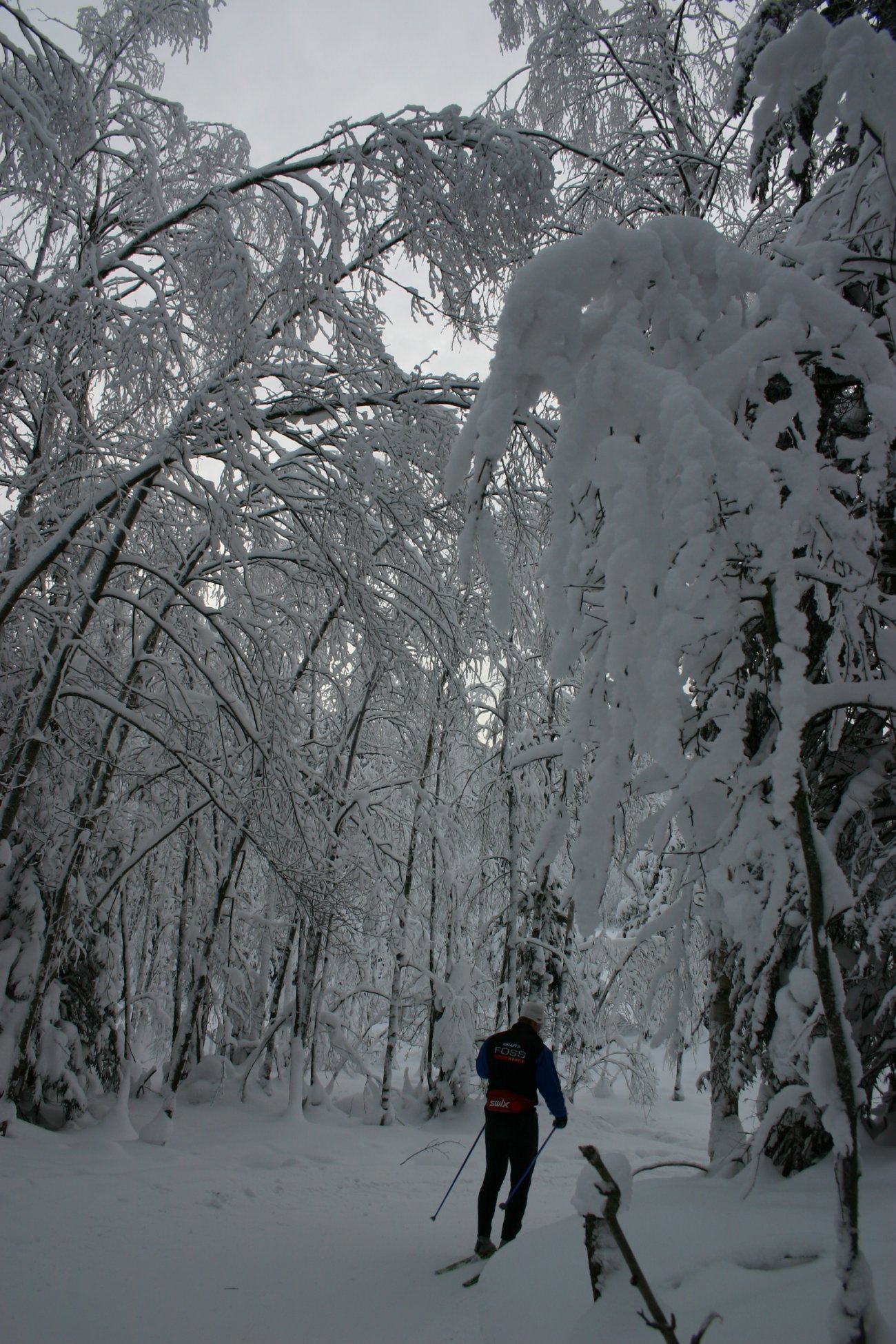 Sving under portalen
