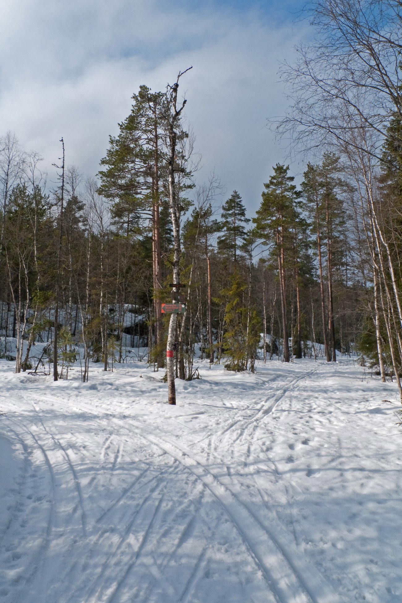Syd for Langvann