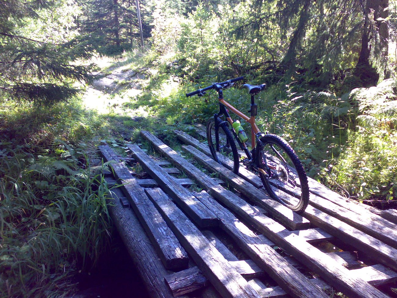 Sykkelstativ i skogen?