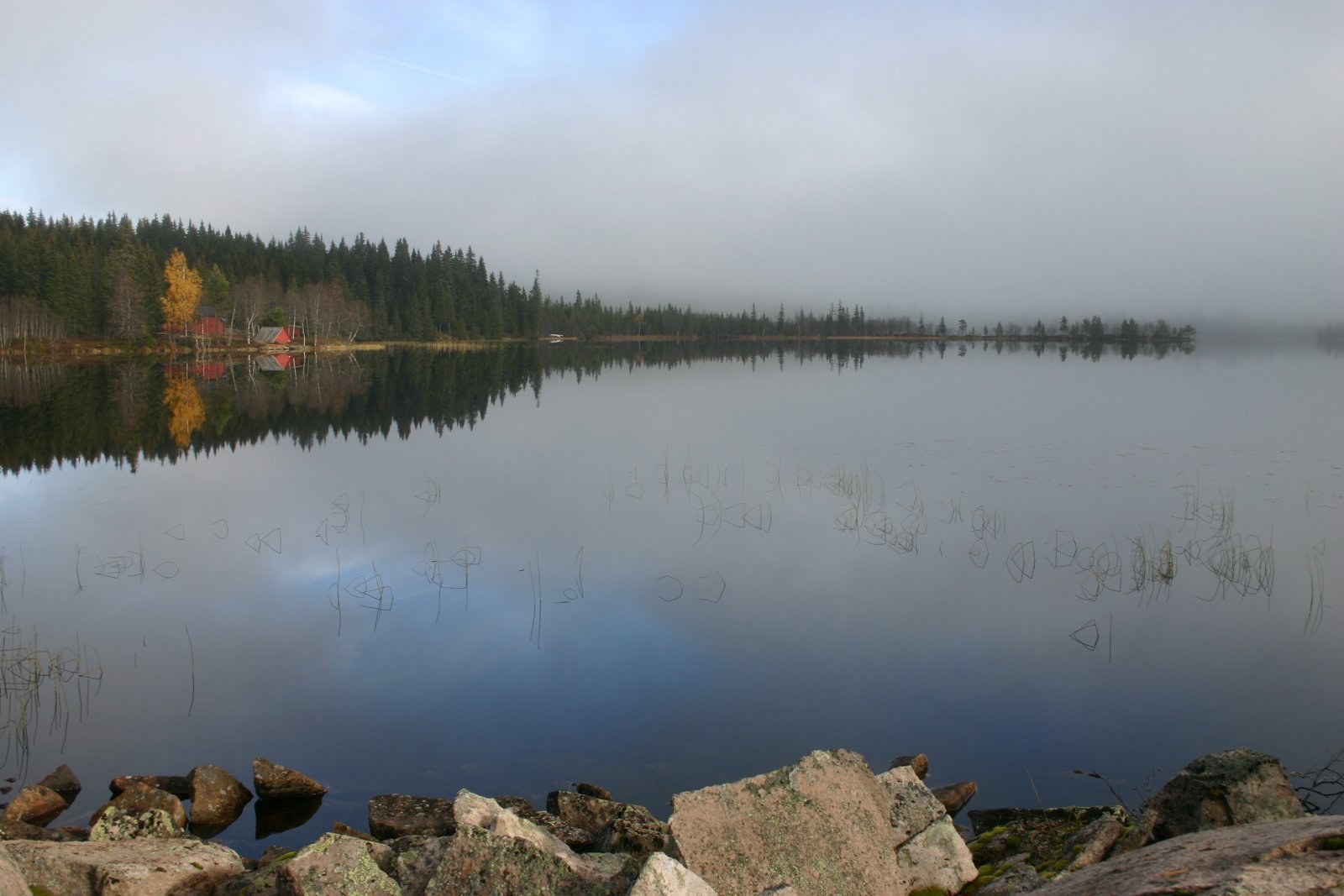 Tåka letter over Malsjøen