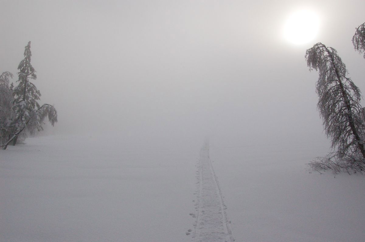 Tåke på Langpipern