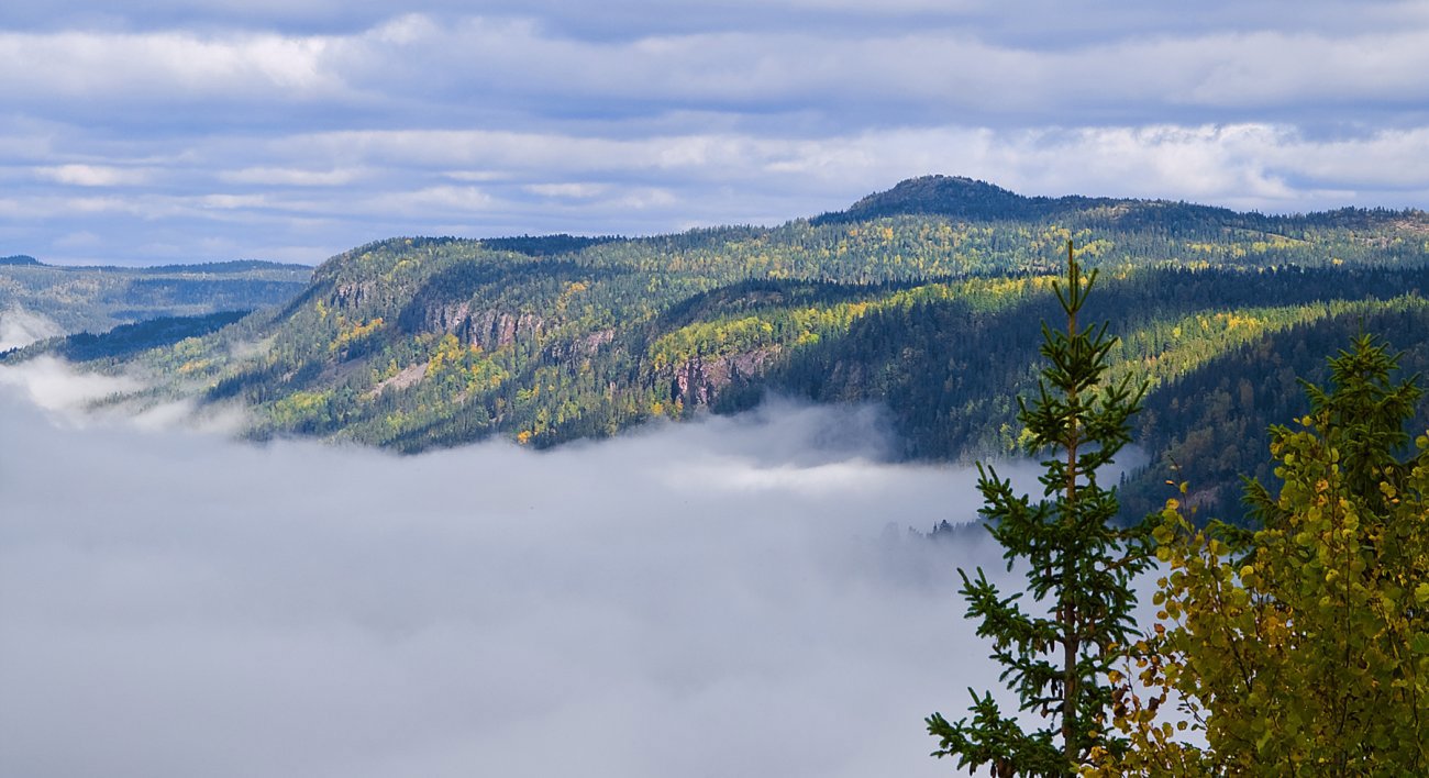 Tåken når ikke opp til Gyrihaugen!