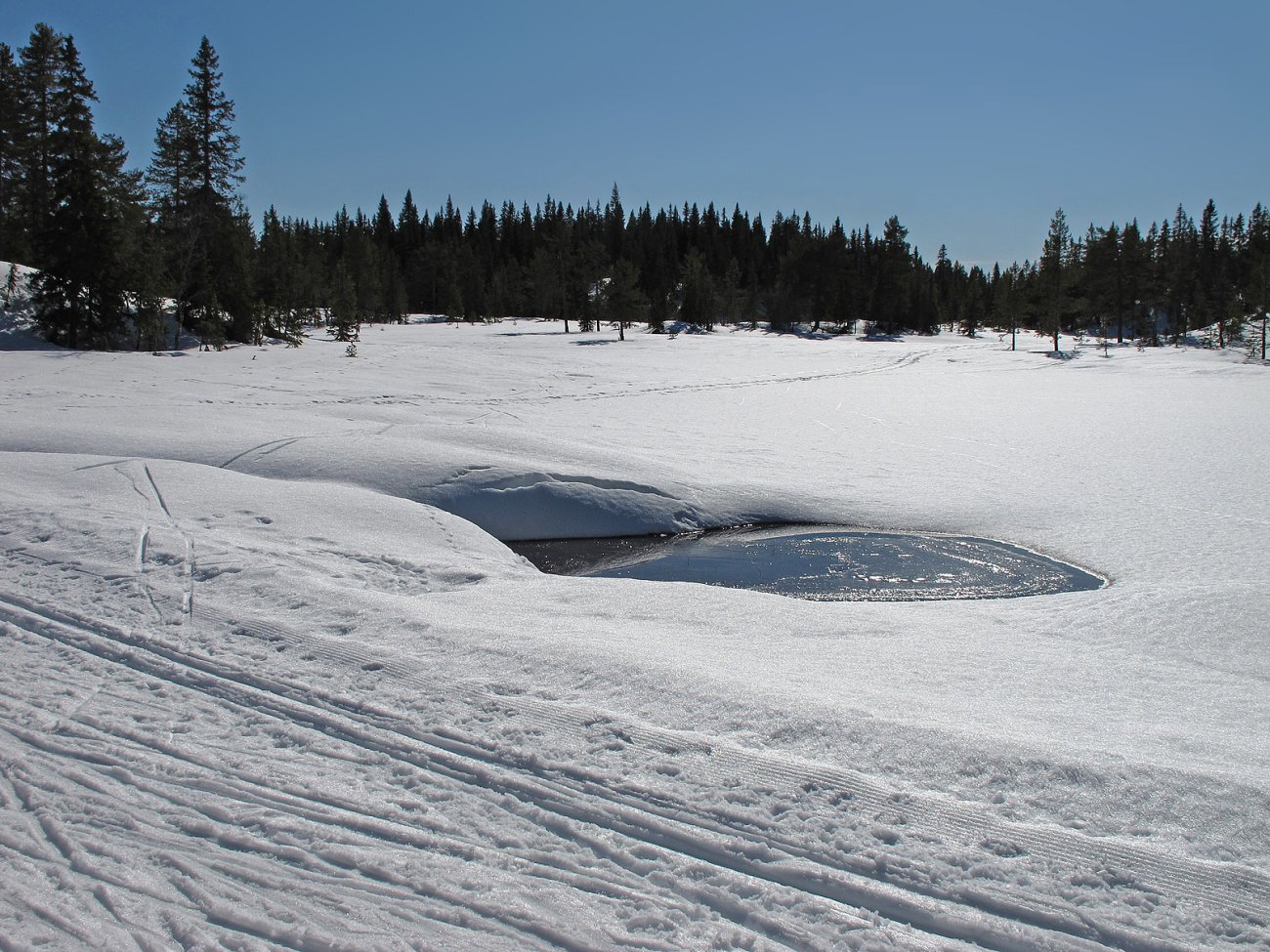 Tegn til vår på Femputtene