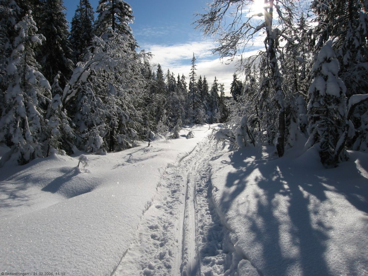 Tid for scooterløyper