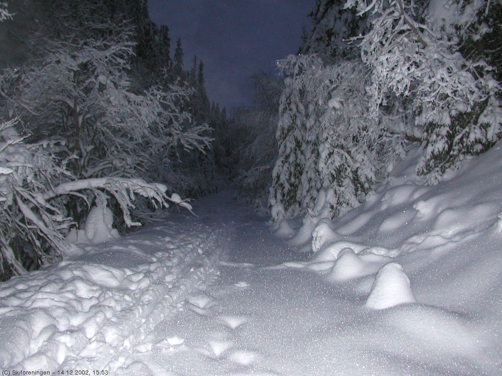 Tidlig desemberkveld ved Spålen