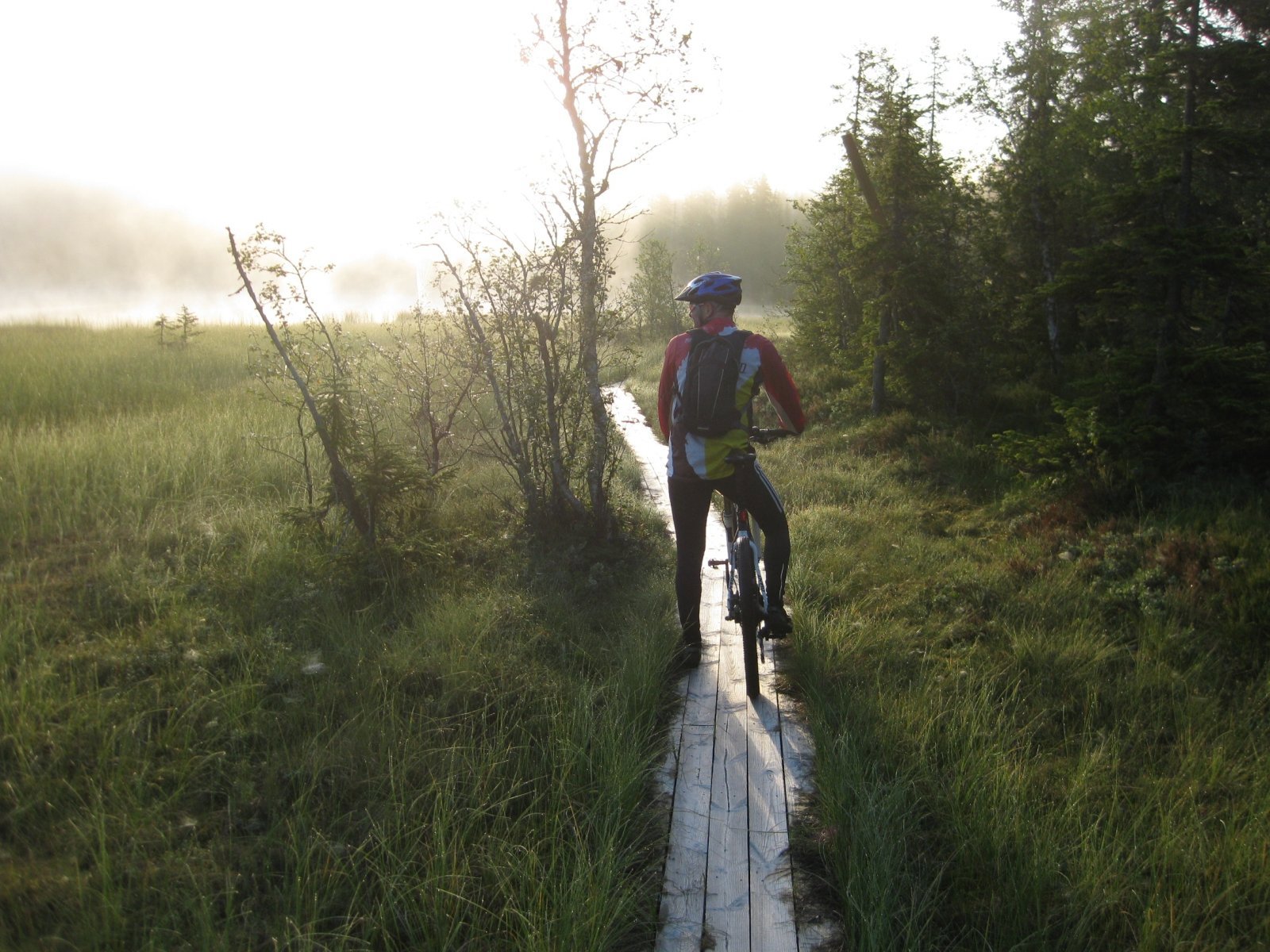 Tidlig morgen ved Steinbutjern