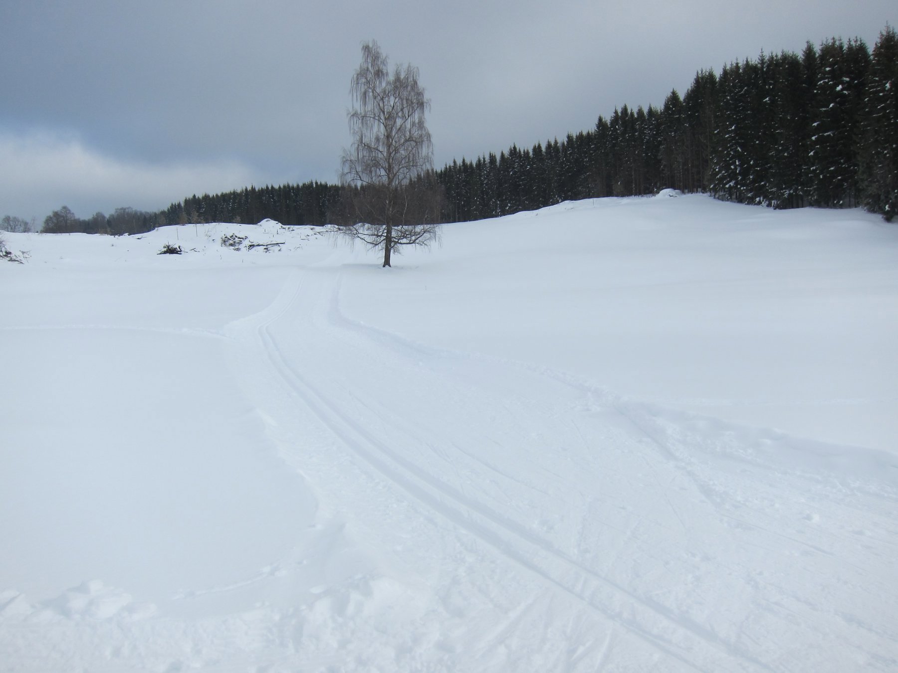 Til skogs - mot Stormyra