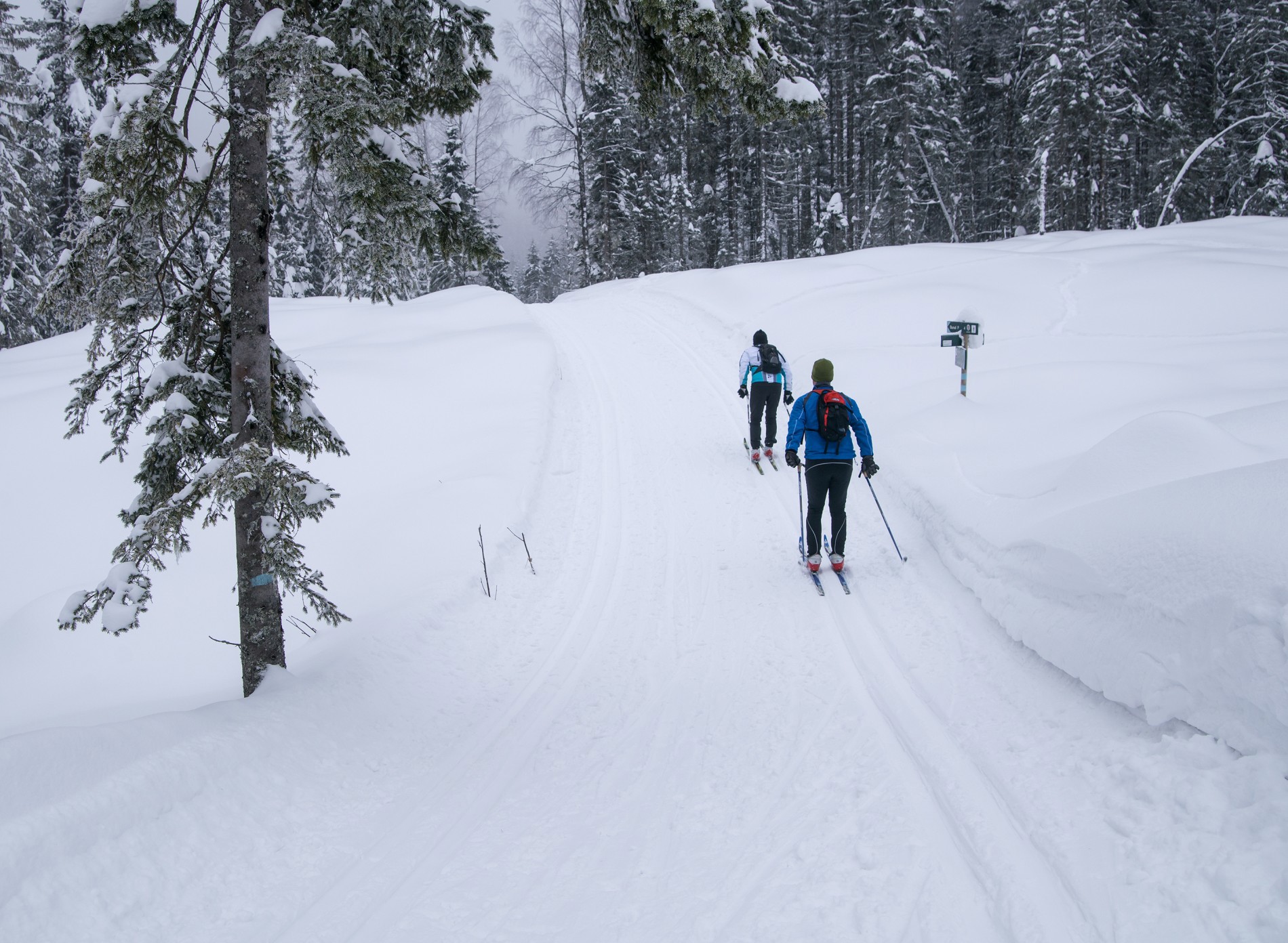Tilbake mot Burudvann