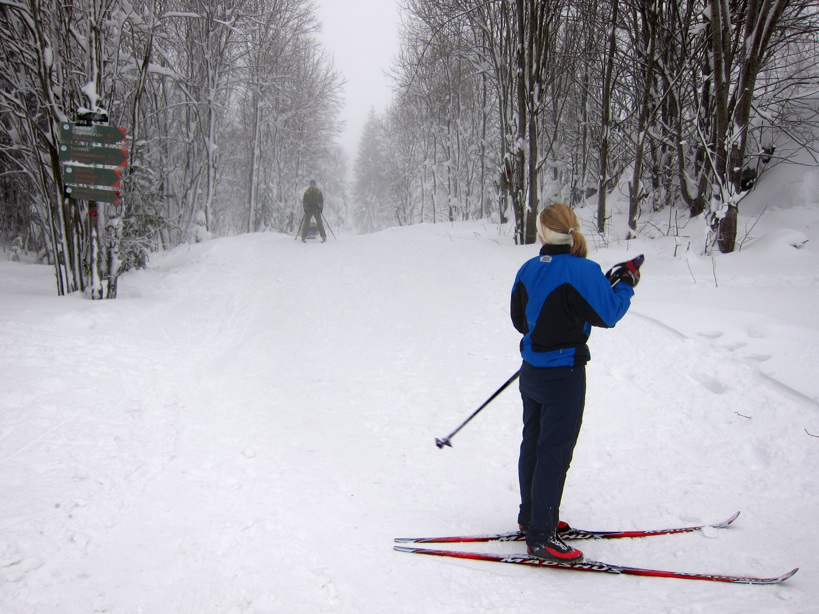 Tilbake på Sollihøgda