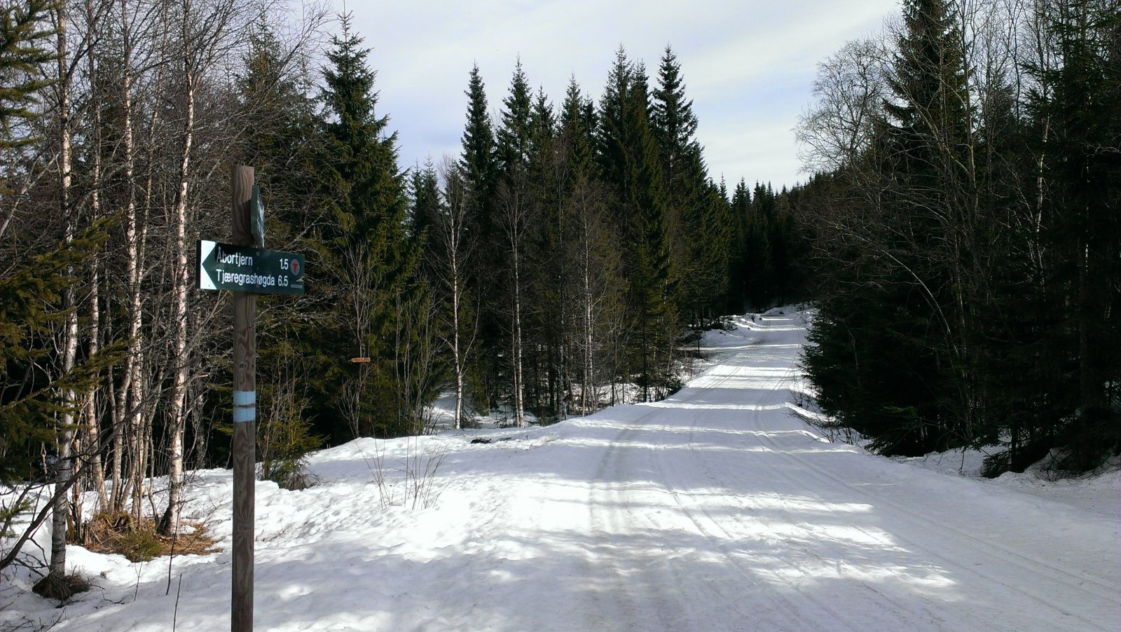 Tjæregrasrunden fortsatt mulig