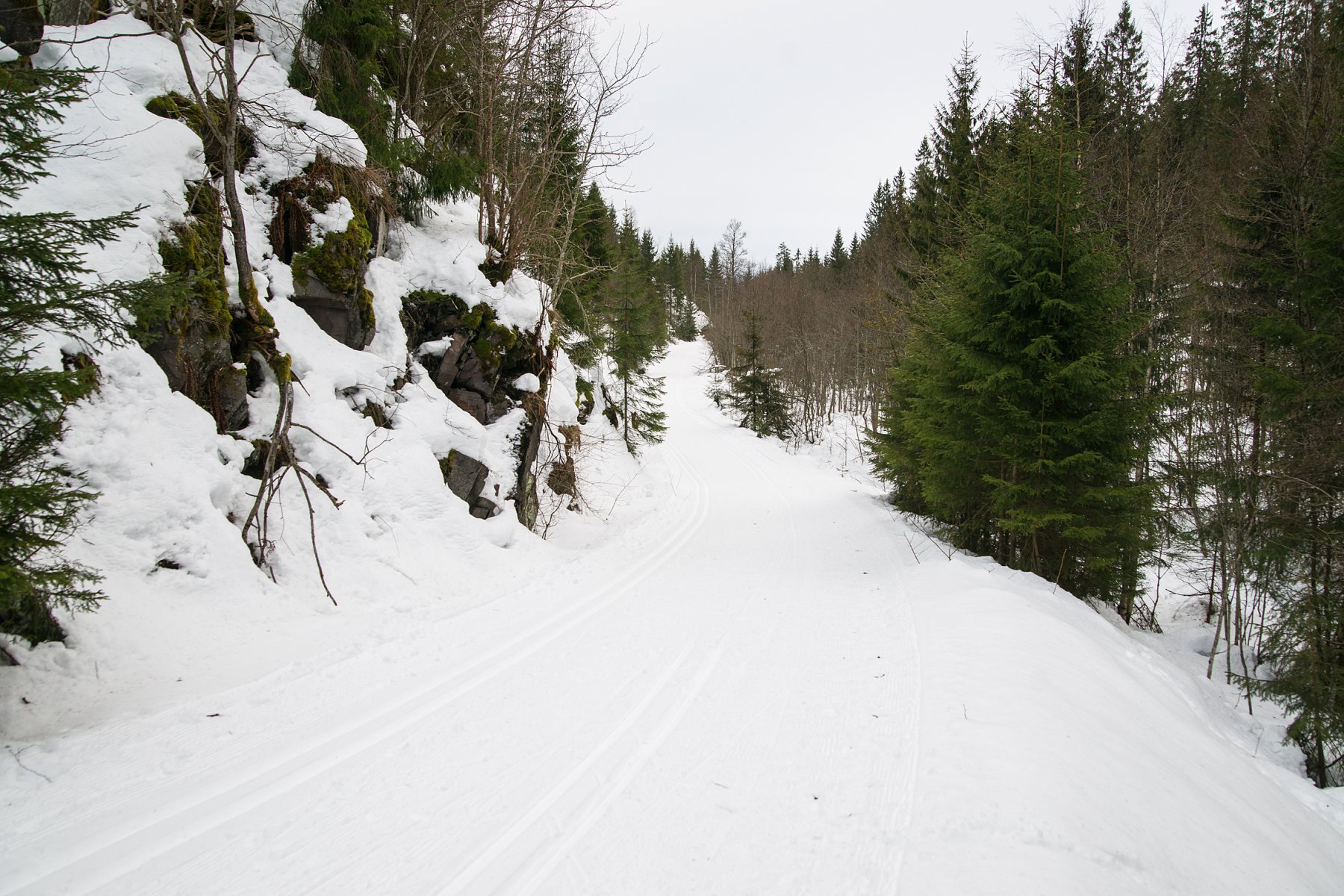 To spor på Gaupebergveien