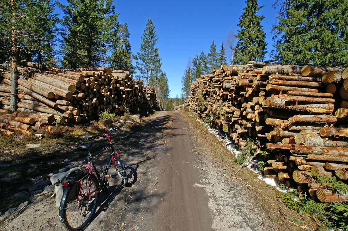 Tømmer langs veien