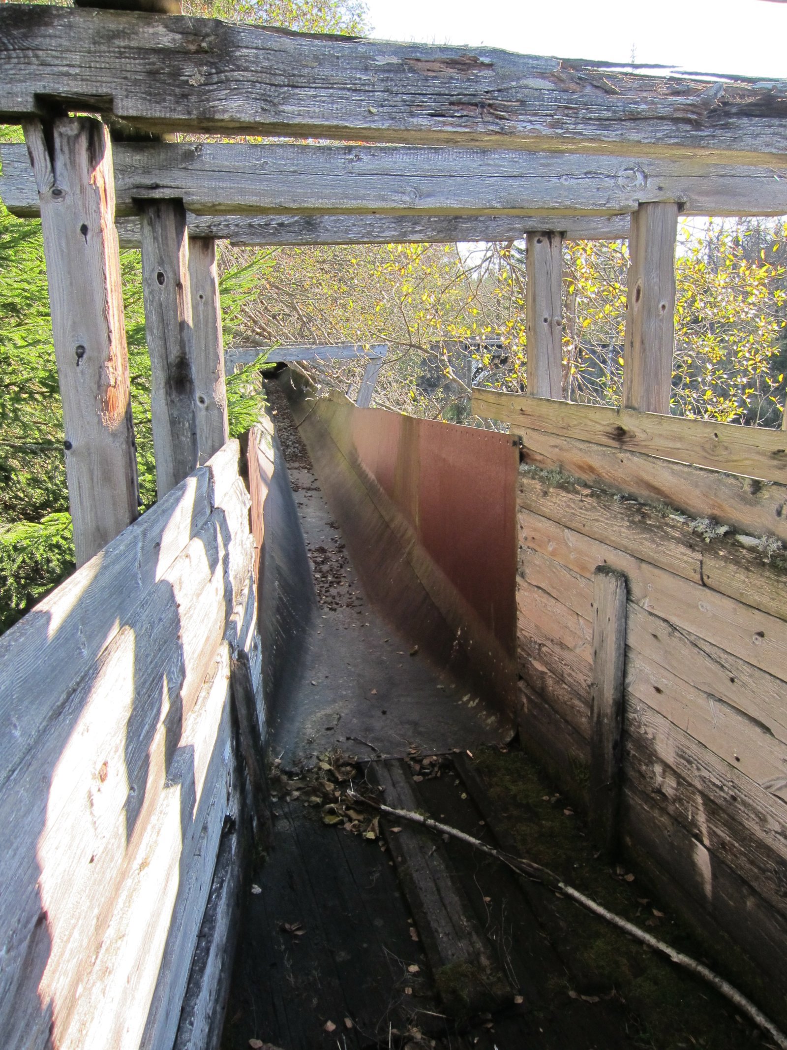 Tømmerrenna ved Hauken