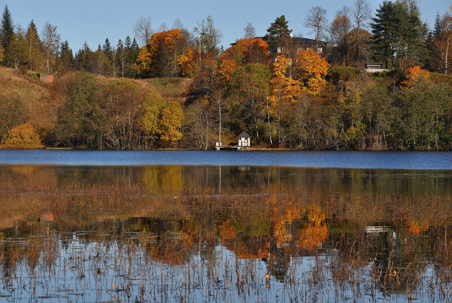 Toresplassen i høstskrud