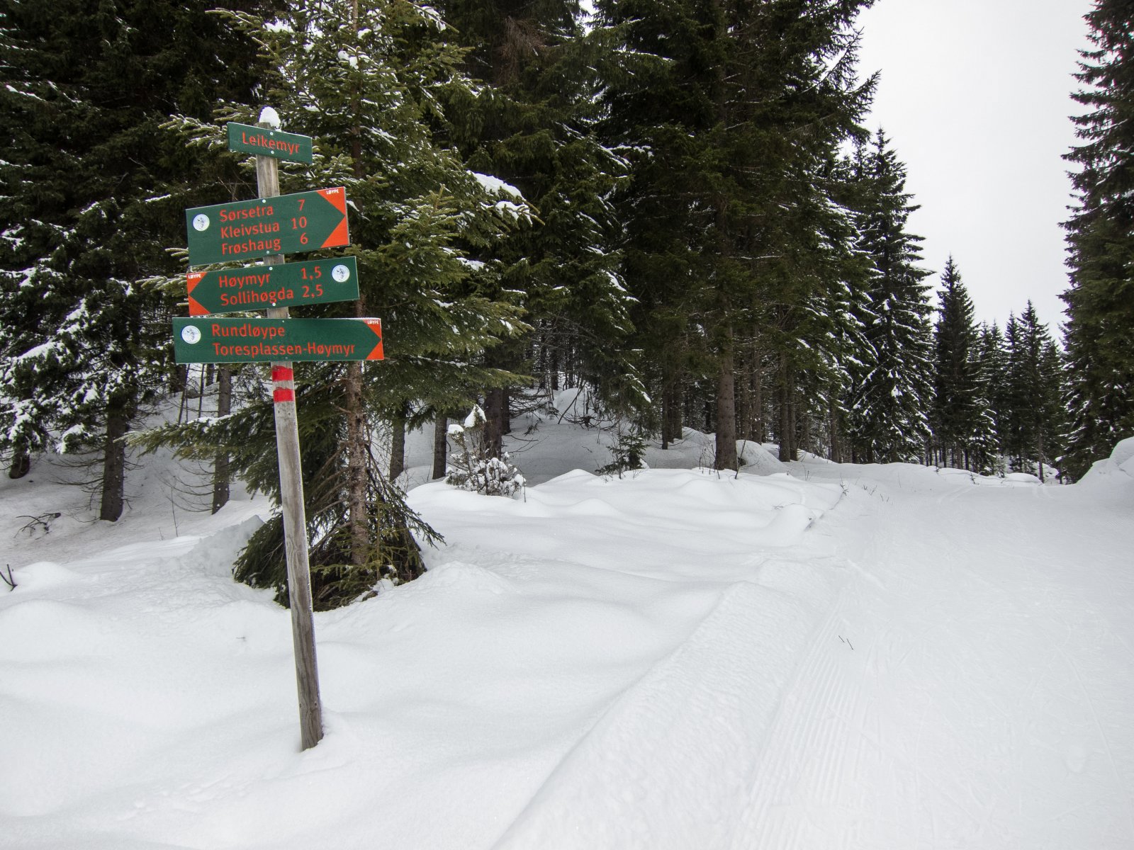 Toresplassrunden forlater Djupdalsveien