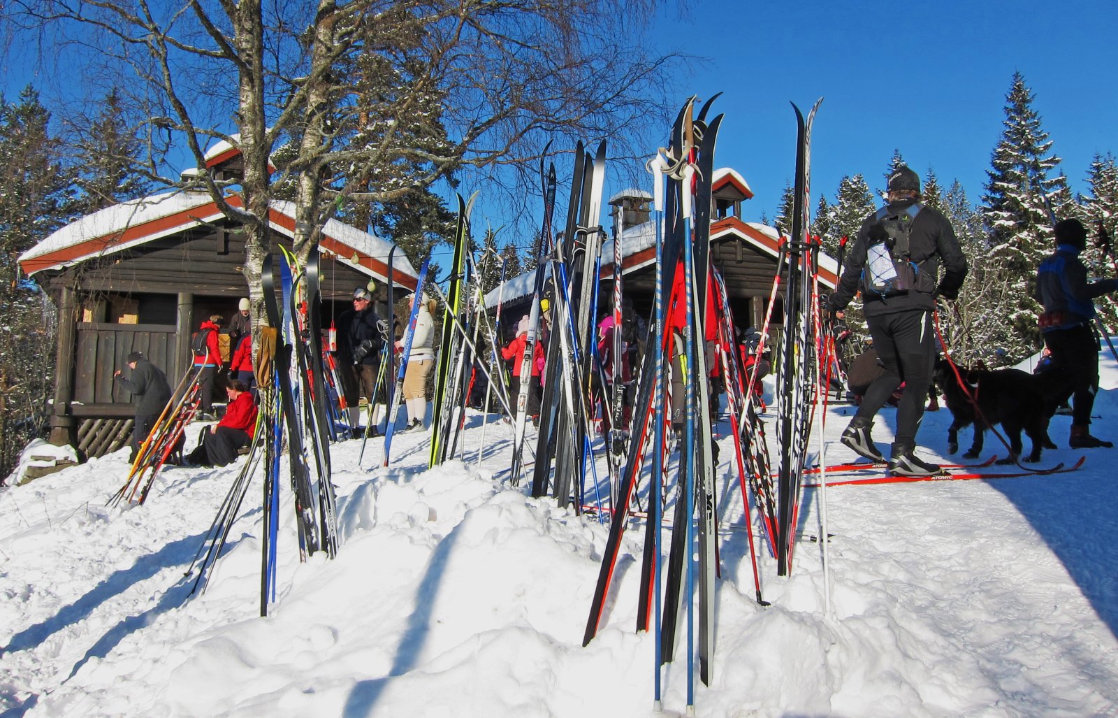Trangt om plassen på Brunkollen i dag