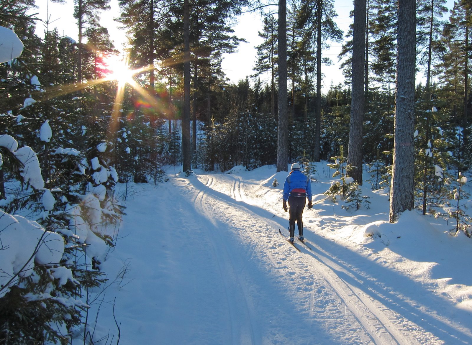 Tre ønsker oppfylt i Kjekstadmarka